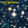 HD 307949