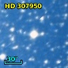 HD 307950