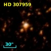 HD 307959