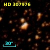 HD 307976