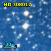 HD 308017