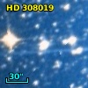HD 308019