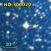 HD 308020