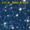 Cl* IC 2602      A     310