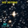 HD 307960