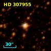 HD 307955
