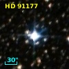 HD  91177