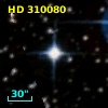 HD 310080