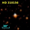 HD 310156