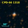 CPD-66  1318
