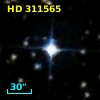 HD 311565