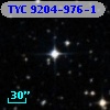 TYC 9204-976-1