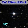 TYC 9204-1393-1