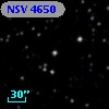 NSV  4650