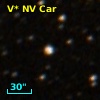 V* NV Car