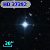 HD  37382