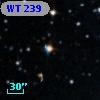 WT  239