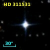 HD 311531