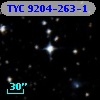 TYC 9204-263-1