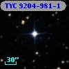 TYC 9204-981-1