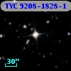 TYC 9208-1828-1