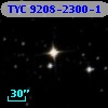 TYC 9208-2300-1