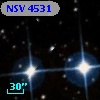 NSV  4531