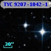 TYC 9207-1042-1