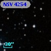 NSV  4254