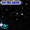SV* BV  1039