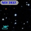 NSV  3937