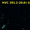 HVC 291.2-20.8+105