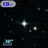 CD-79   293