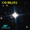 CD-80   251