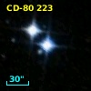 CD-80   223