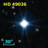 HD  49036