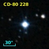 CD-80   228