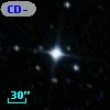 CD-80   229