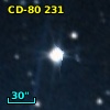 CD-80   231
