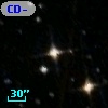 CD-80   236