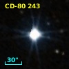 CD-80   243