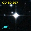 CD-80   207