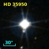 HD  35950