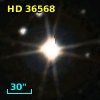 HD  36568