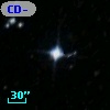 CD-80   173