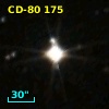CD-80   175