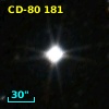 CD-80   181