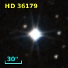 HD  36179