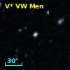 V* VW Men