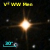 V* WW Men